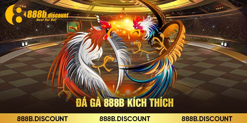 Đá gà 888b kích thích