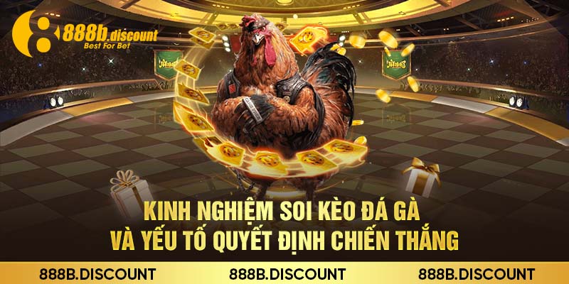 Kinh nghiệm soi kèo đá gà và yếu tố quyết định chiến thắng